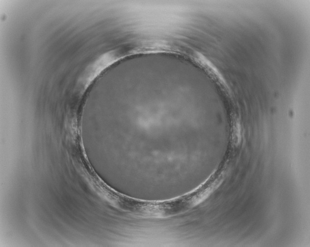 X0000087561457200705112135