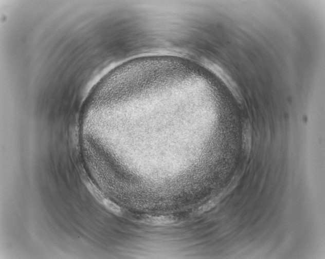 X0000087561460200705112135