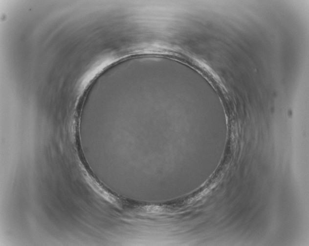 X0000087561463200705112135