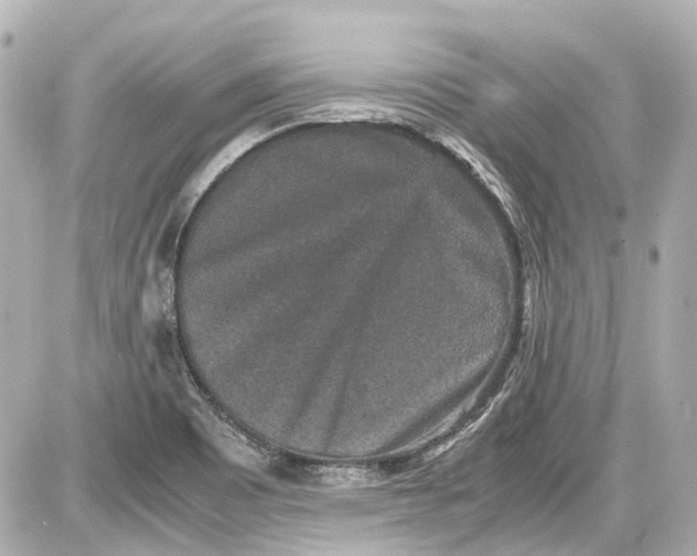 X0000087561465200705112135