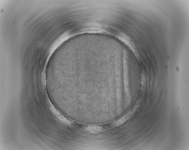 X0000087561466200705112135