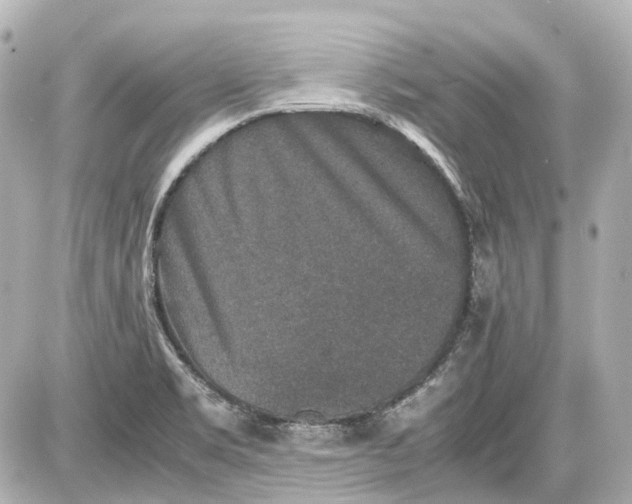 X0000087561469200705112135