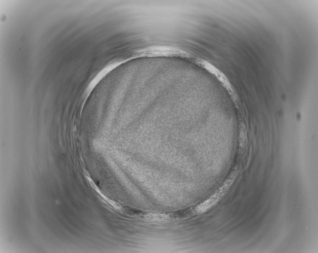 X0000087561473200705112135