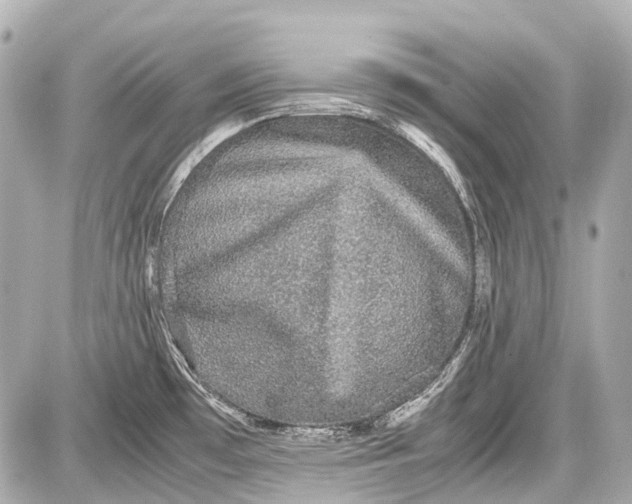 X0000087561481200705112134