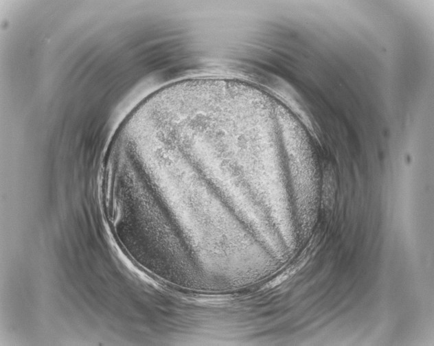 X0000087561484200705112134