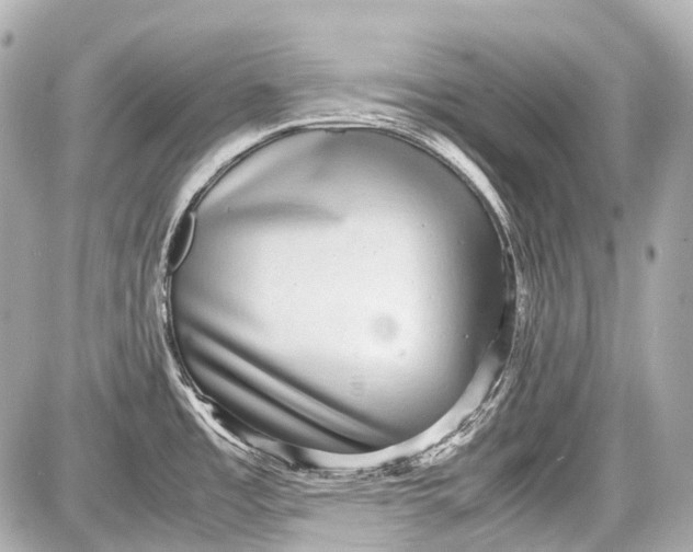 X0000087561485200705112134