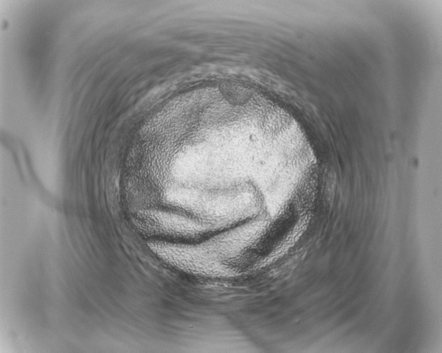 X0000087561489200705112133