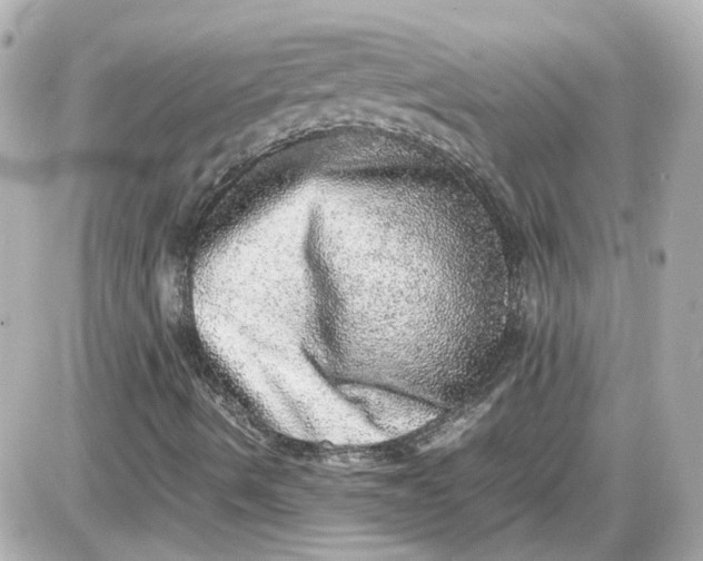 X0000087561490200705112134