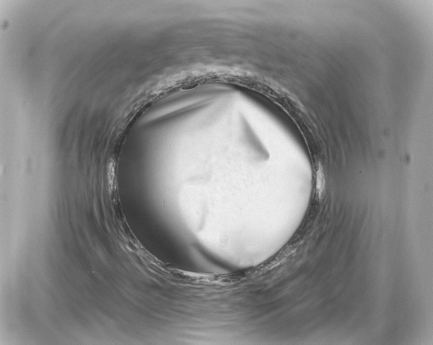 X0000087561492200705112134