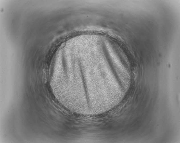 X0000087561493200705112134
