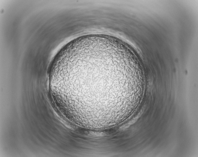 X0000087561509200705112134