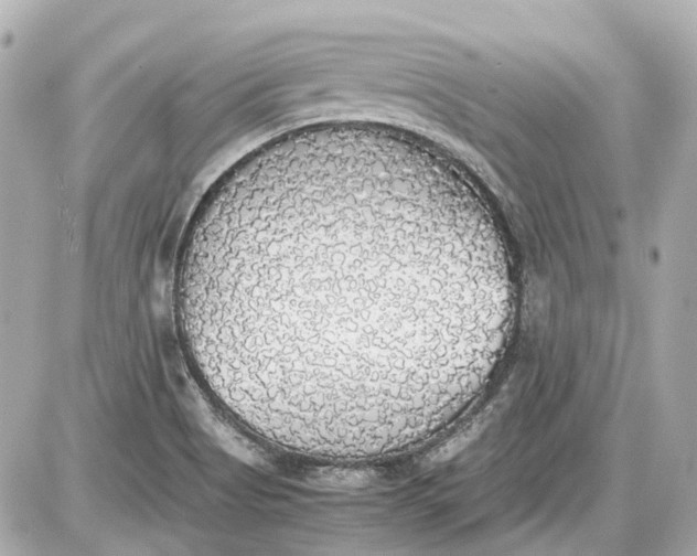 X0000087561513200705112134