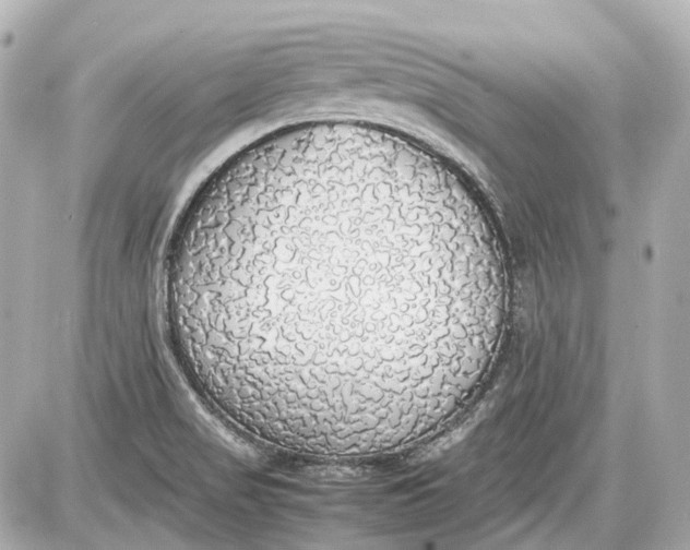 X0000087561517200705112134