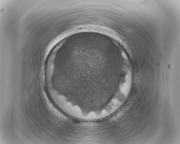 X0000087561522200705112134