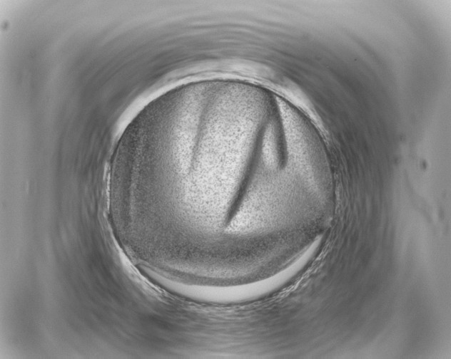 X0000087561524200705112134