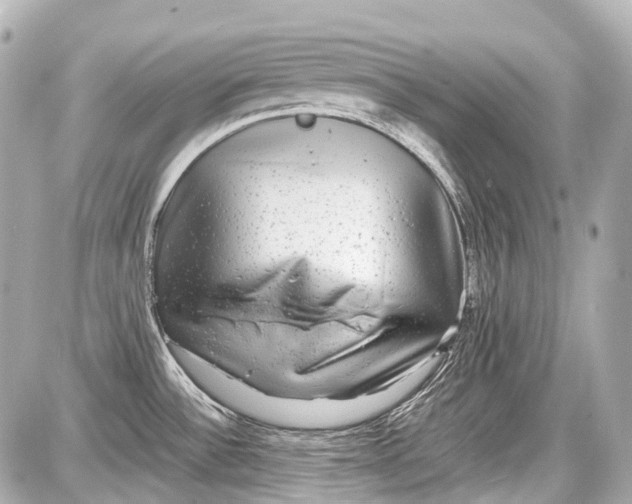 X0000087561532200705112134