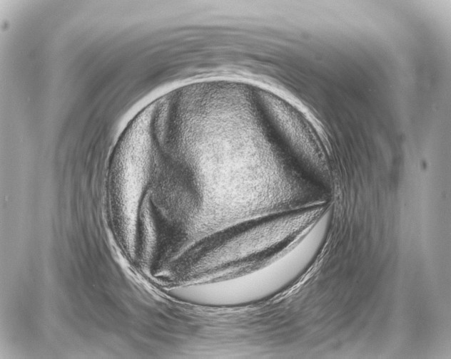 X0000087561534200705112134