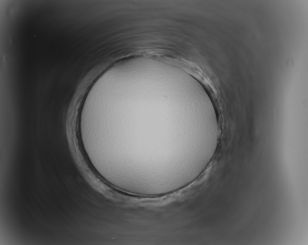 X0000087560001200705181133