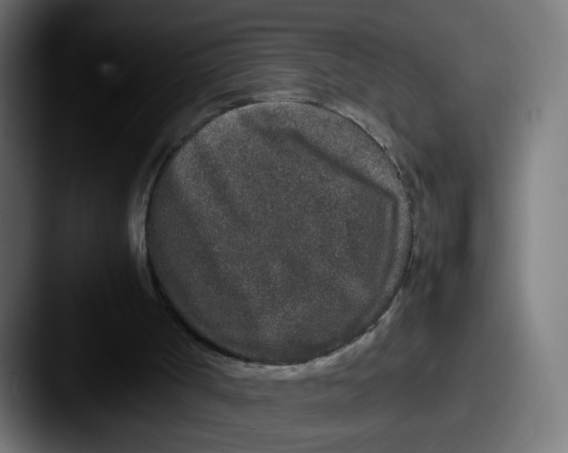 X0000087560002200705181133