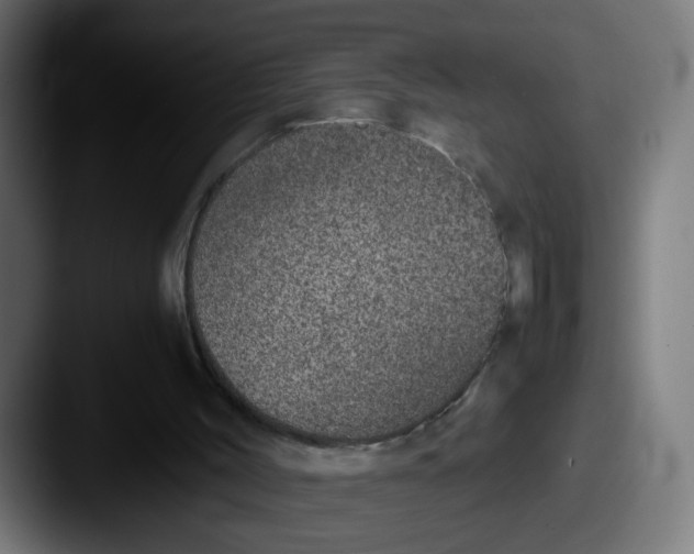 X0000087560004200705181133