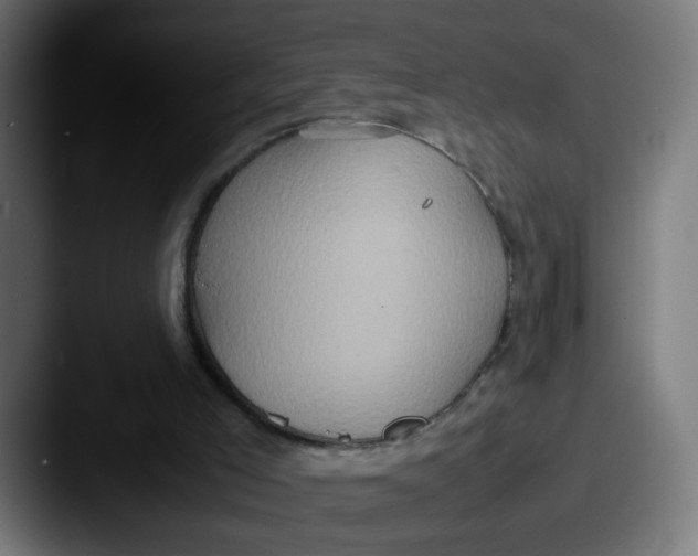 X0000087560005200705181133