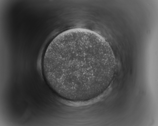 X0000087560006200705181133