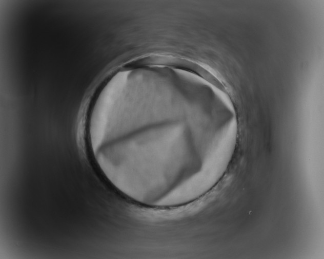 X0000087560007200705181133