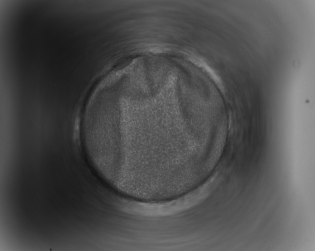 X0000087560010200705181133