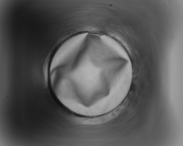X0000087560011200705181133
