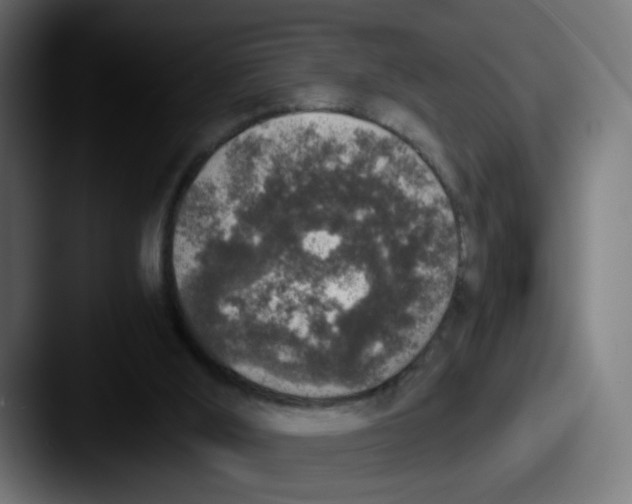 X0000087560012200705181133