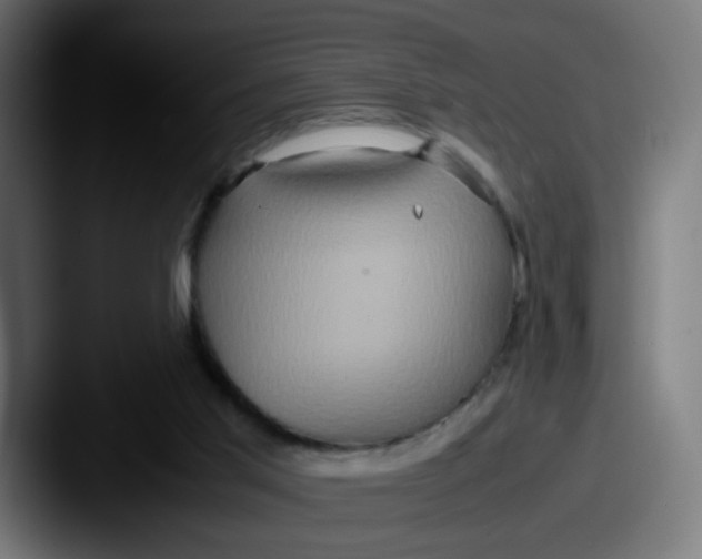 X0000087560013200705181133