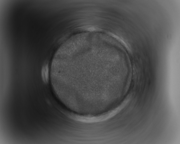 X0000087560014200705181133