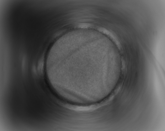 X0000087560016200705181133