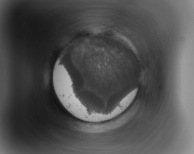 X0000087560018200705181133