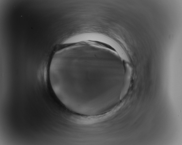 X0000087560019200705181133