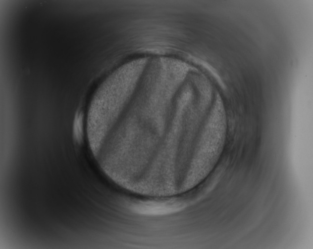 X0000087560020200705181133