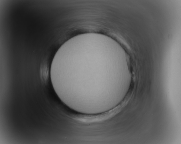 X0000087560021200705181133