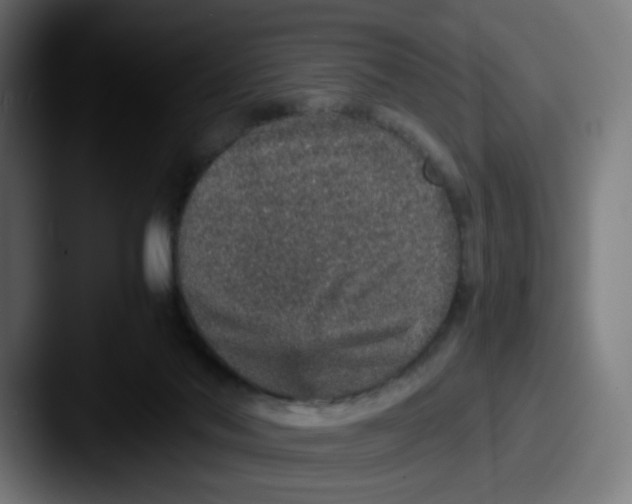 X0000087560022200705181133