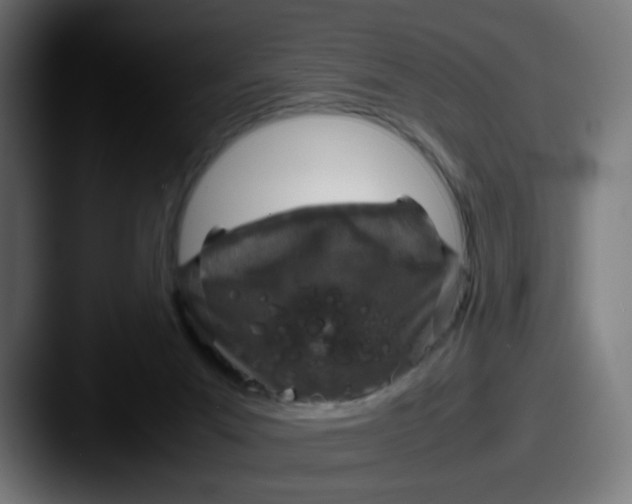 X0000087560023200705181133