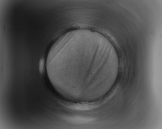 X0000087560024200705181133