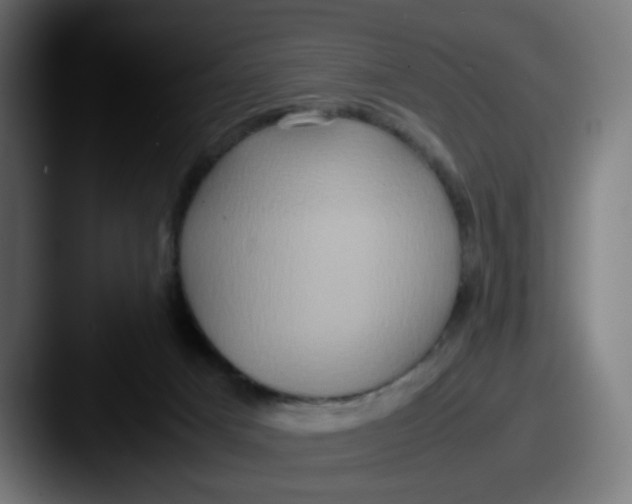 X0000087560025200705181133