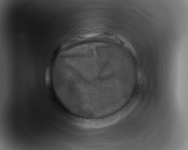 X0000087560026200705181133
