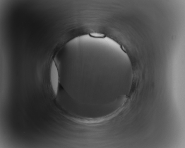X0000087560027200705181133