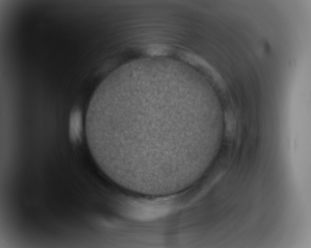X0000087560028200705181133