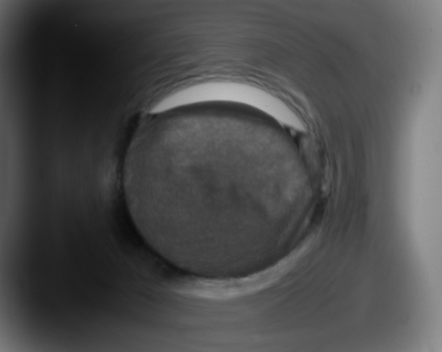 X0000087560029200705181133