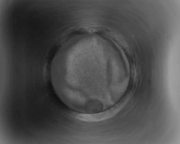 X0000087560030200705181133