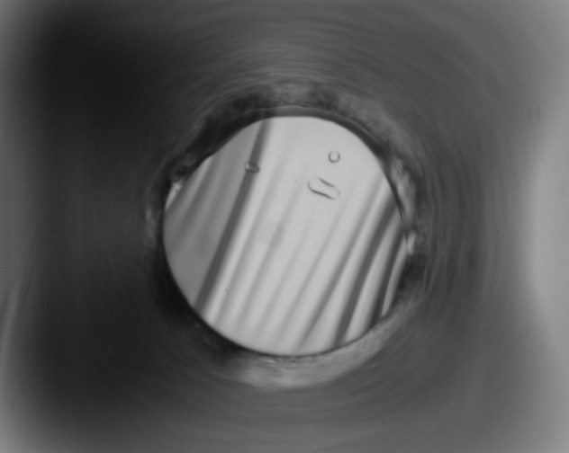 X0000087560033200705181133