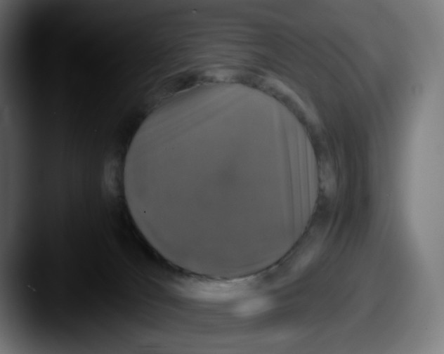 X0000087560036200705181133