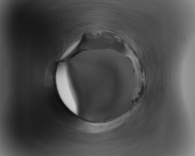 X0000087560039200705181132