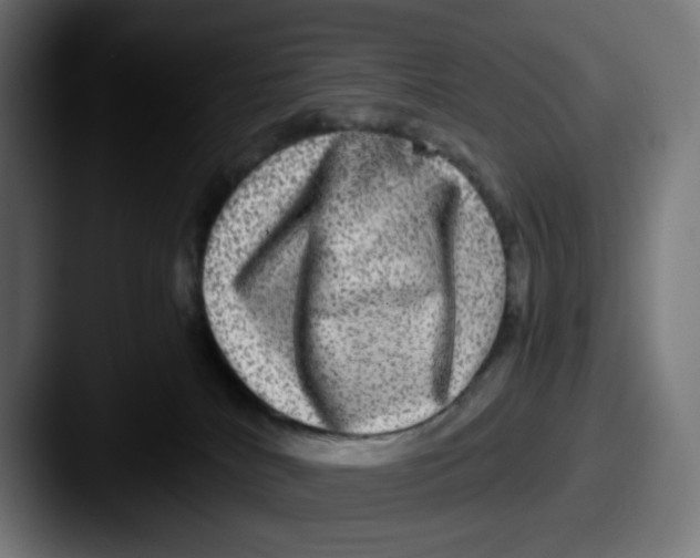 X0000087560040200705181132